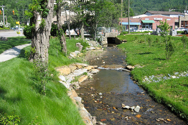 Professors’ paper on urban stream restoration receives 2015 Boggess Award