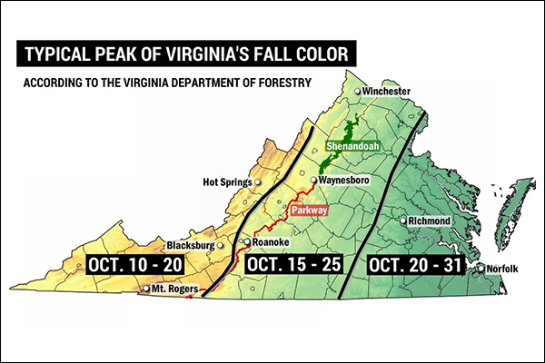 Up-and-down weather is having an effect on fall color in Va. and N.C. mountains