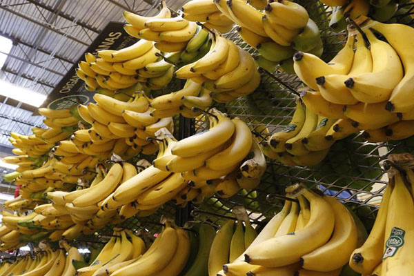 App State Study Claims Bananas Could Be The Perfect Post-Workout Food