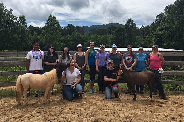 Equine assisted therapy course at Appalachian prepares future counselors through a ‘multisensory approach to learning’
