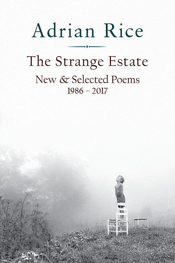 The Strange Estate: New & Selected Poems 1986–2017
