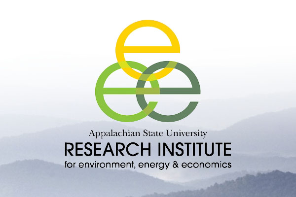 Research Institute for Environment, Energy, and Economics