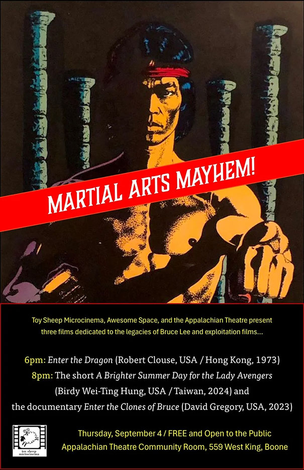 Martial Arts Mayhem
