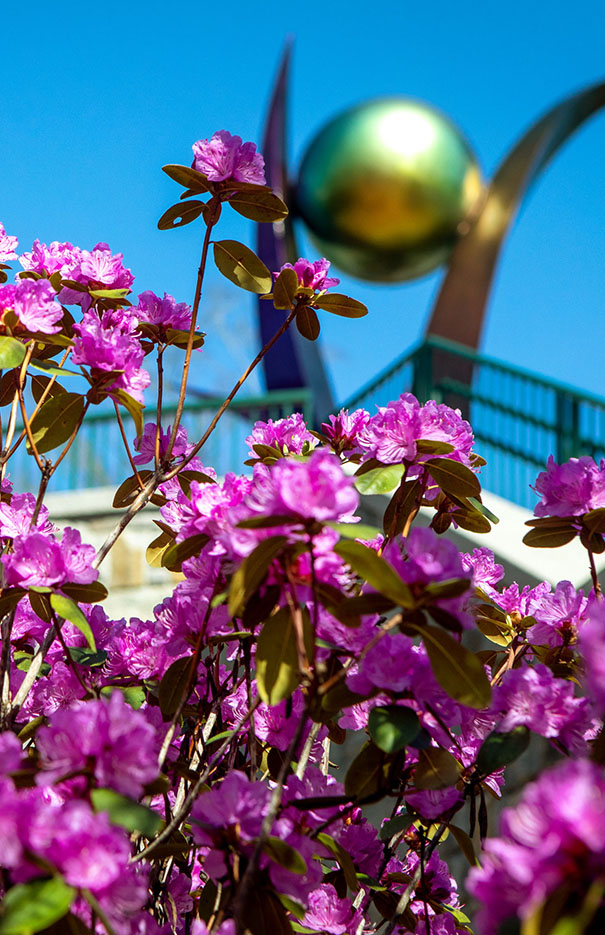 Spring Open House (Boone campus)