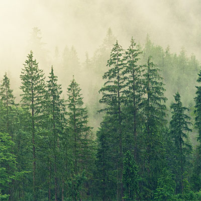 Earth Month 2023