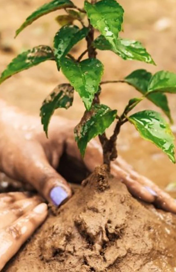 Arbor Day Tree Planting Event