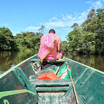 Etienne Charles: Earth Tones
