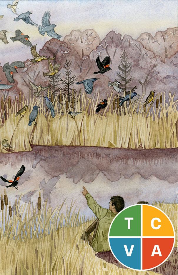 Community Contours in the Southern Appalachian Mountains: Jill Pelto