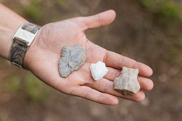 Archaeology team discovers ancient campsite at App State farm in Ashe County
