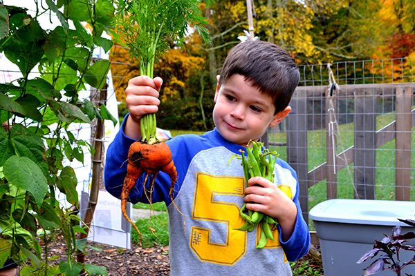 Lettuce Learn to host garden-based professional development series for educators