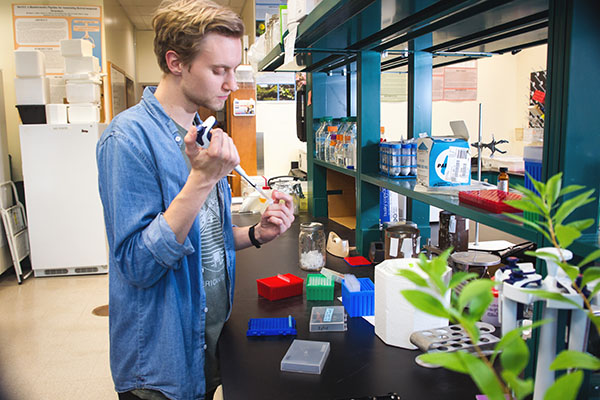 Appalachian students and faculty partner with UNC Asheville to research threatened plant species