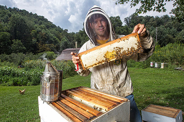 Saving the bees