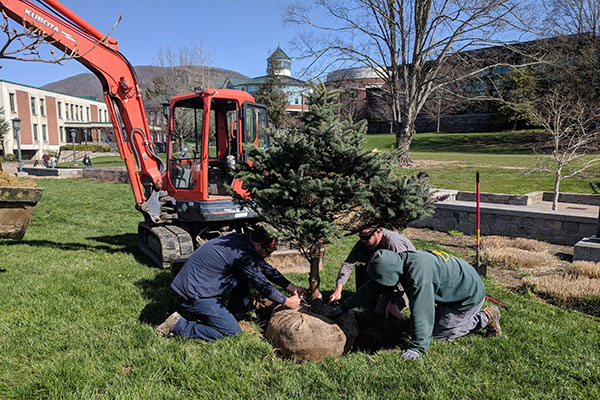 On Arbor Day, welcome new trees donated to Appalachian
