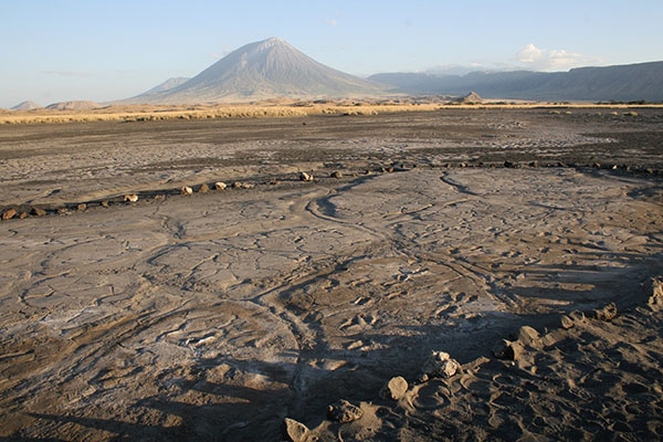 Disappearing footprints in Tanzania