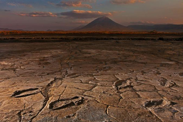 Treasure Trove of Fossil Human Footprints Is Vanishing