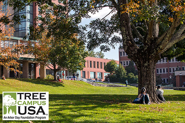 Appalachian — a Tree Campus since 2014 — welcomes new trees to campus