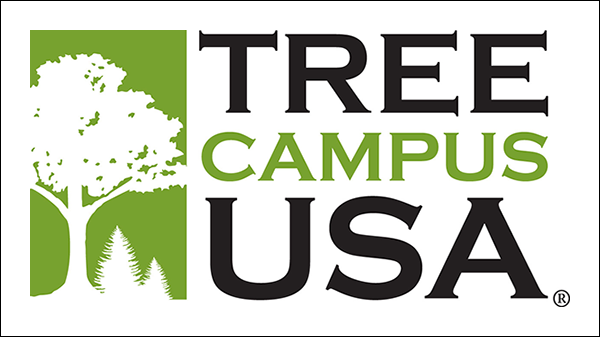 Appalachian earns Tree Campus USA certification
