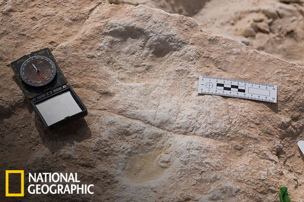 Oldest footprints in Saudi Arabia reveal intriguing step in early human migration [faculty quoted]