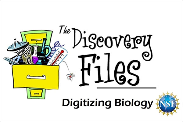 Digitizing biology!