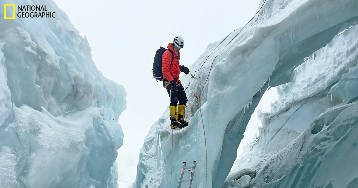 Environmental DNA reveals the diversity of Mount Everest •