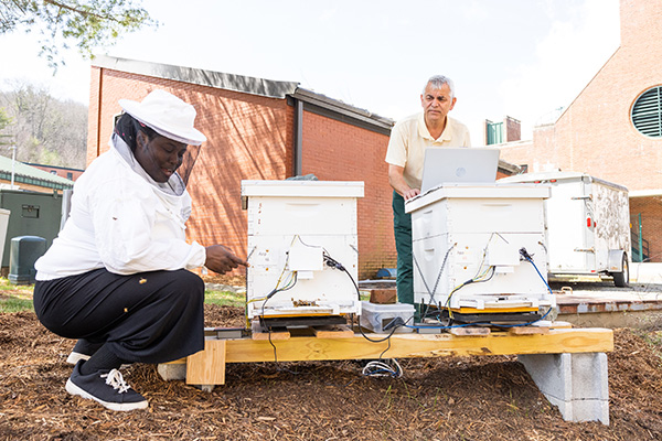 App State team’s beehive monitoring system buzzes toward market with NCInnovation support