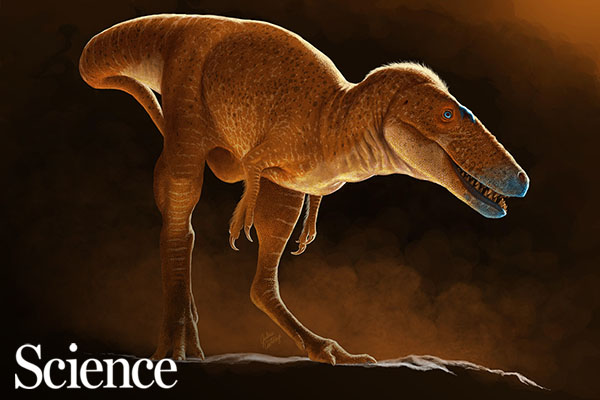 ‘Dragon prince’ dinosaur may be missing link in T. rex evolution [alumni featured]