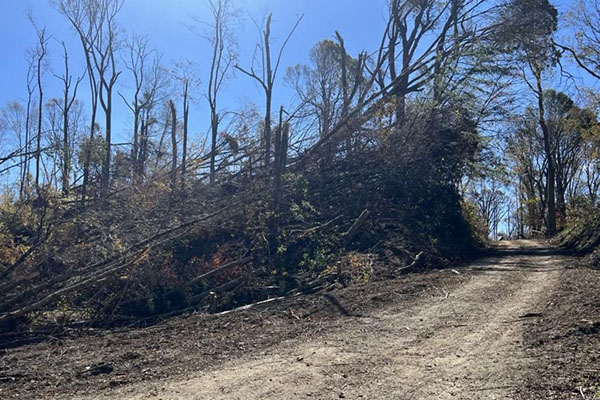 App State researchers document Helene's impact on forests, streams months after devastation [faculty featured]