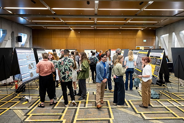 Record 240 student innovators take center stage at App State’s 29th annual research and creativity showcase