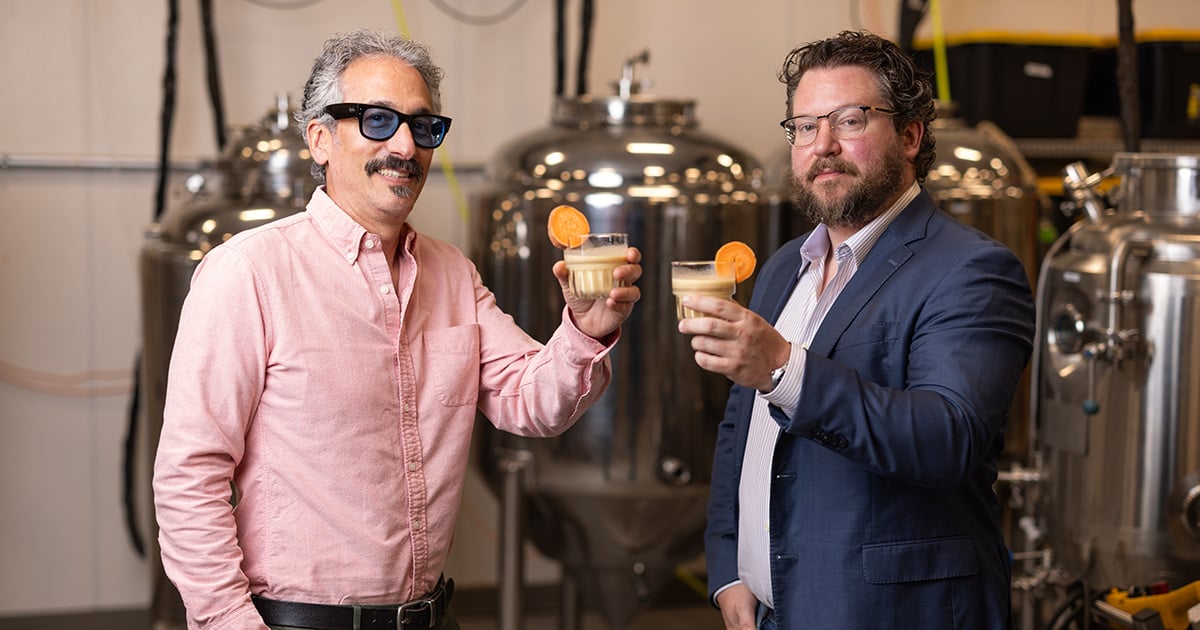From the field to the fridge: $1.82M NCInnovation grant supports sweetpotato startup at App State