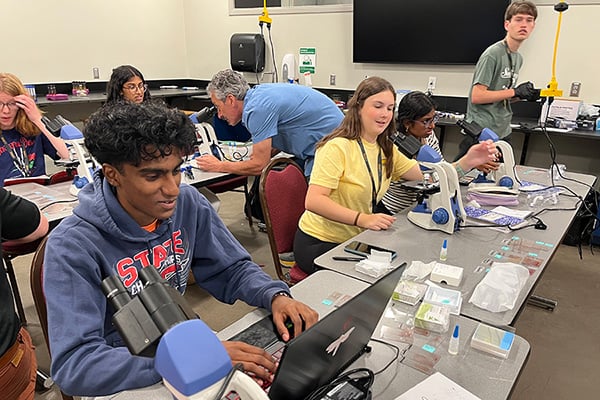 Summer Ventures in Science and Mathematics